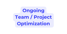 Ongoing Team Project Optimization